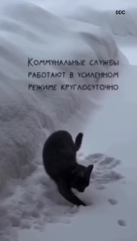 #Угар #мемы #мем