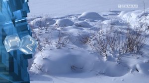 Февраль в Кузбассе начался с ясной, но достаточно ветреной погоды