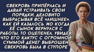 Не зная Свекровь выбросила заначку мужа, деловито показывая какая она хозяйка перед невесткой