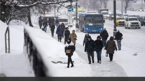 В России отметили влияние жизни в одиночку на трансформацию экономики