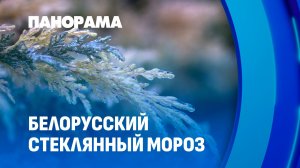 Мороз не отступает: как погода вносит свои коррективы в жизнь белорусов? Панорама
