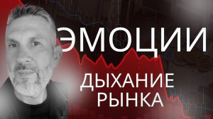 Что рынок шепчет в тишине вашего внимания?