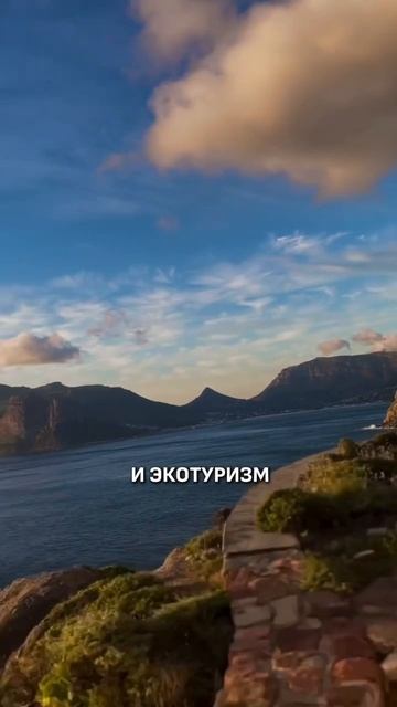 ПОЛЕТЕЛИ В АФРИКУ?