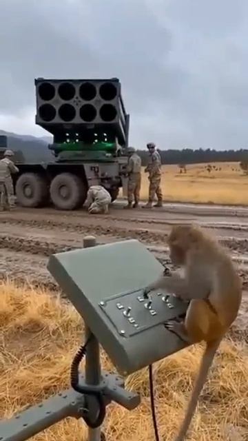 Обезьянка. смотреть онлайн