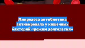 Микродоза антибиотика активировала у кишечных бактерий «режим долголетия»