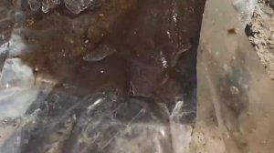 30,31 января 2026г.Пахнет весной, всходят цветы. Занимаюсь