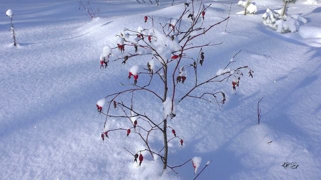 Зимние зарисовки. Котлас. Между Лимендкой и Вычегдой. Музыка Сергея Грищука