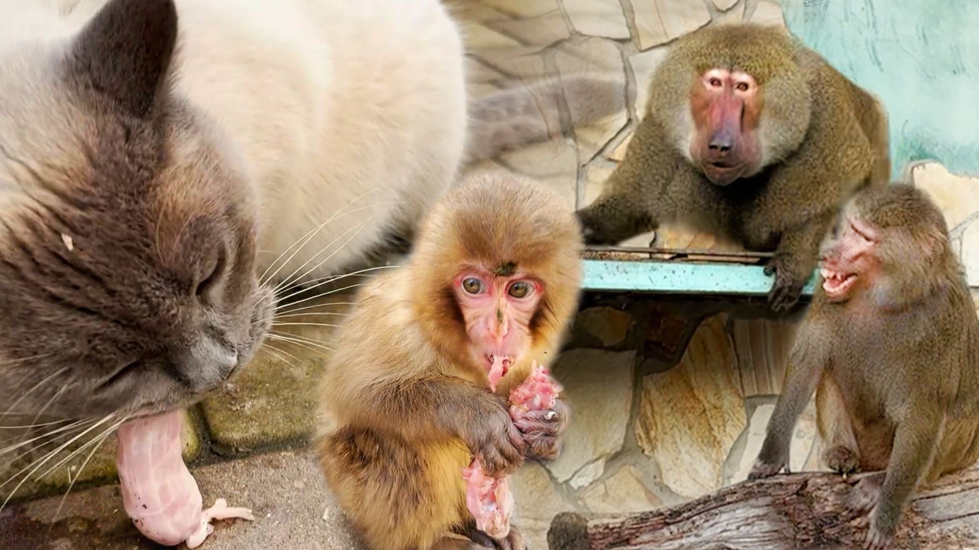 КАК ПРЫГНУЛ! Не уйти! Феня шеи на лету ловит! Елисей Лиду за шею хватает! Мать у Сакуры забирает! смотреть онлайн