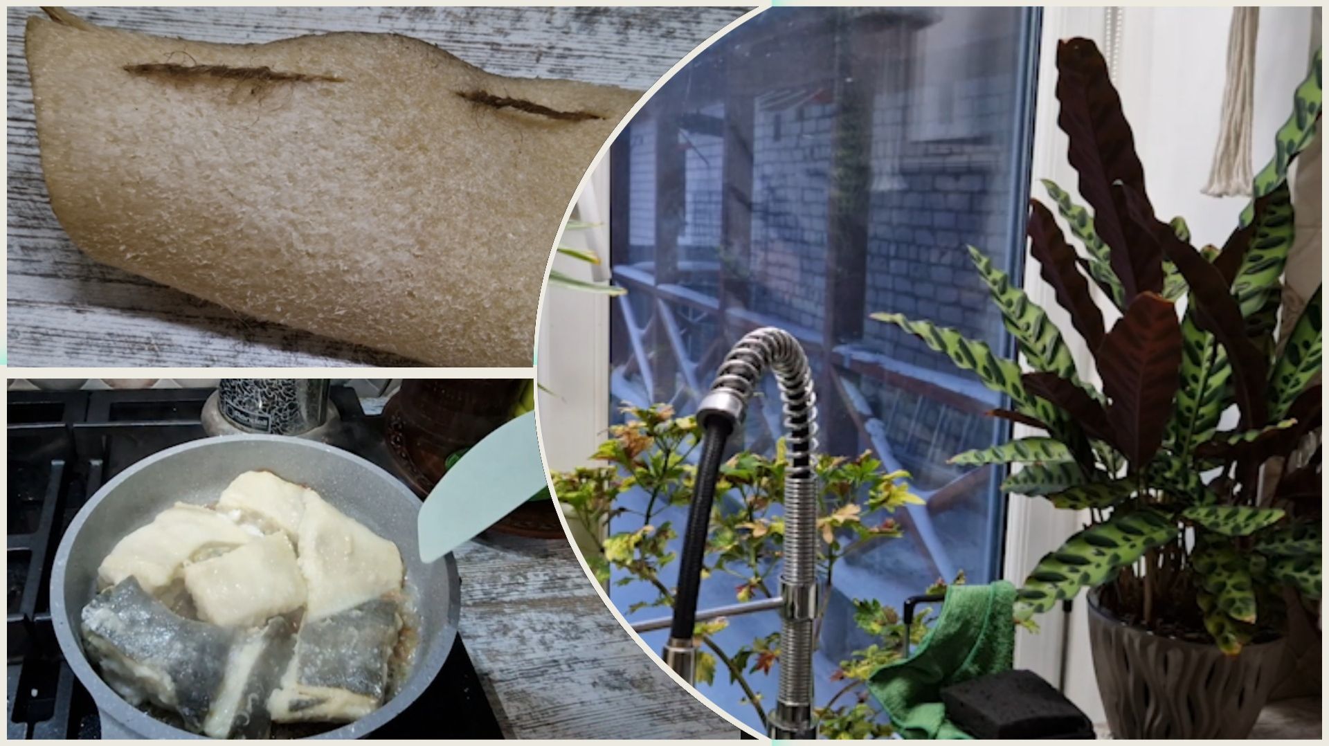 Ни жиринки не оставили. Жарю камбалу. Вегеташки адаптируются. смотреть онлайн