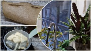 Ни жиринки не оставили. Жарю камбалу. Вегеташки адаптируются.