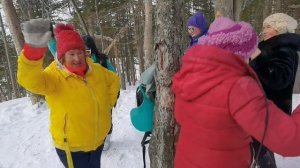 Как варить глинтвейн / отдых в лесу / весёлая компания / 18 января 2026 года