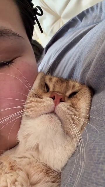 Невыносимая тяжесть бытия😰