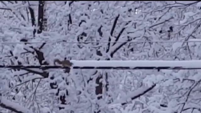 Когда этот снег уже закончится?!!