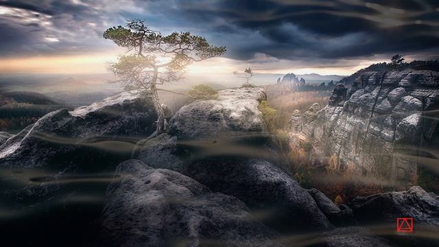 Из святого Максима