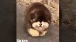 хотите шутку прочитайте описание