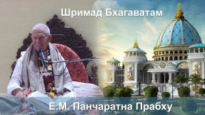 03.02.2026 || Шримад Бхагаватам 11.5.42 || Е.М. Панчаратна Прабху