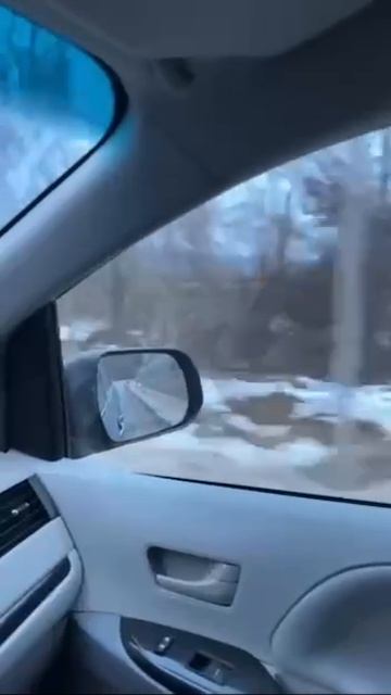 ��� �������� ������� ������� � �������� � �������� ����� � 