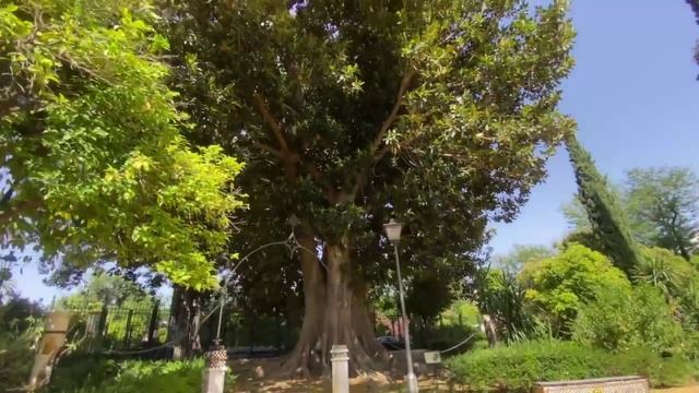 Зеленые тенистые оазисы Севильи смотреть онлайн