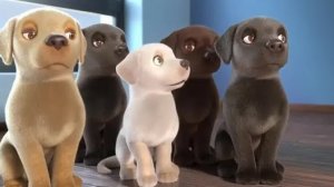 Щенок-спасатель | Мультфильм