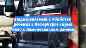 Подозреваемый в убийстве ребенка в Петербурге скрыл тело в Ломоносовском районе