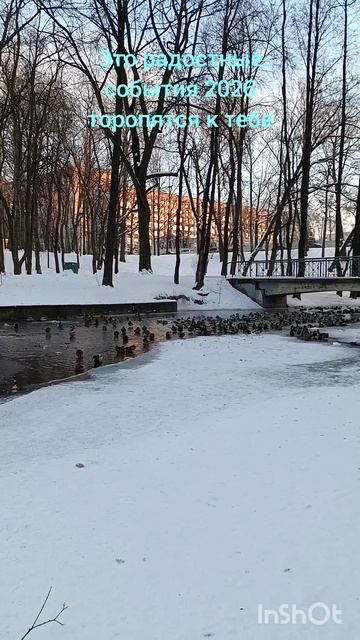 29/365 смотреть онлайн