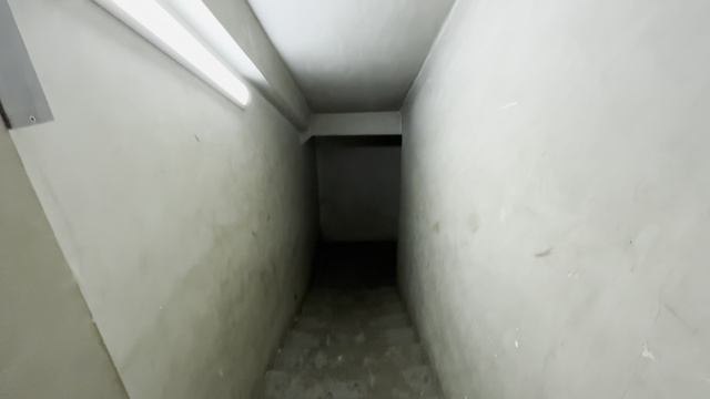 лица Кирова, 88