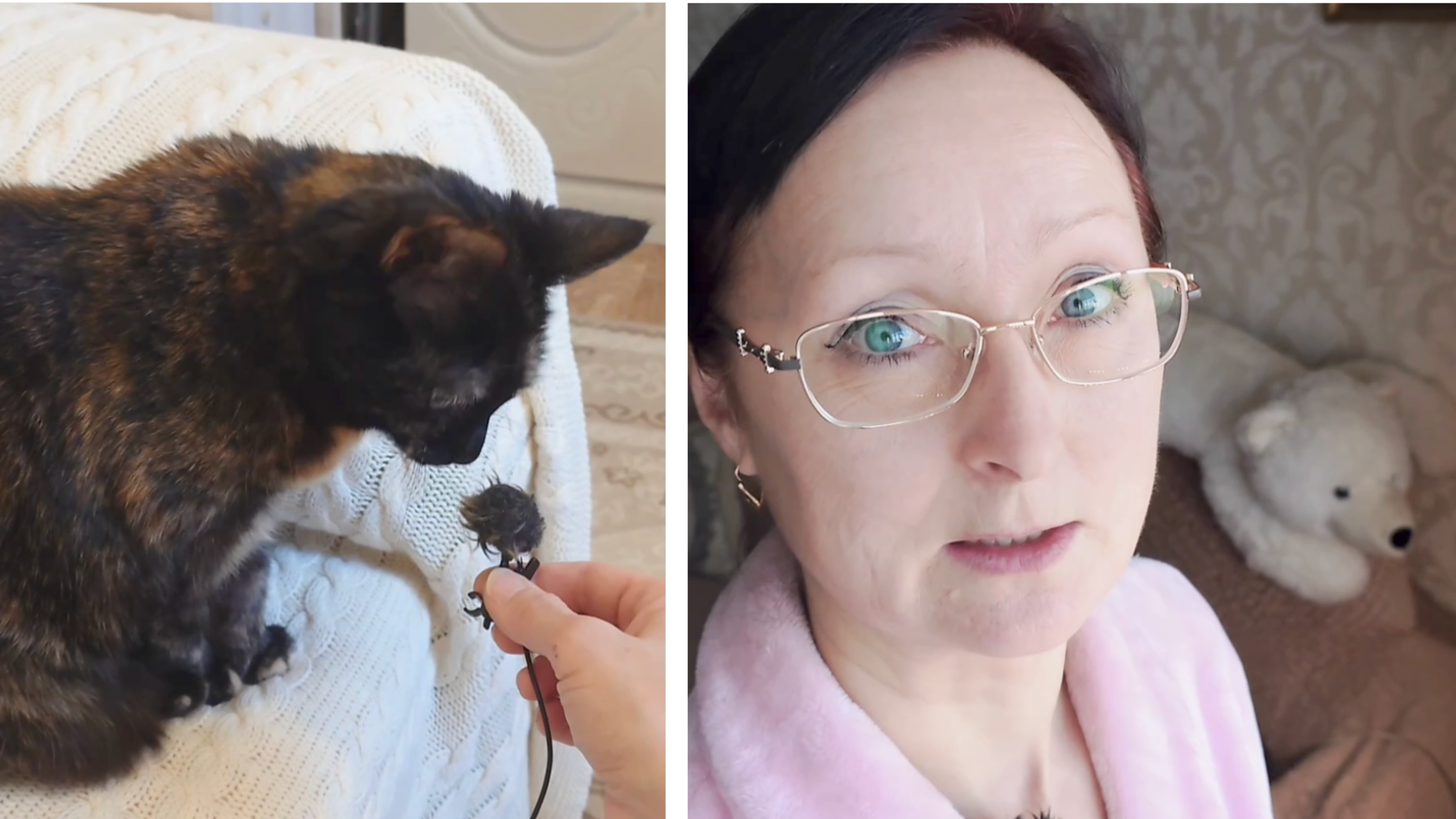 Видео привет с 0,07 сотки)) 3 января 2026 года