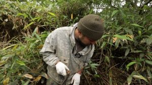 Курилы. Итуруп часть 8