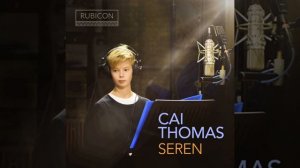 Vesperae Solennes de confessore K. 339 V. Laudate Dominum