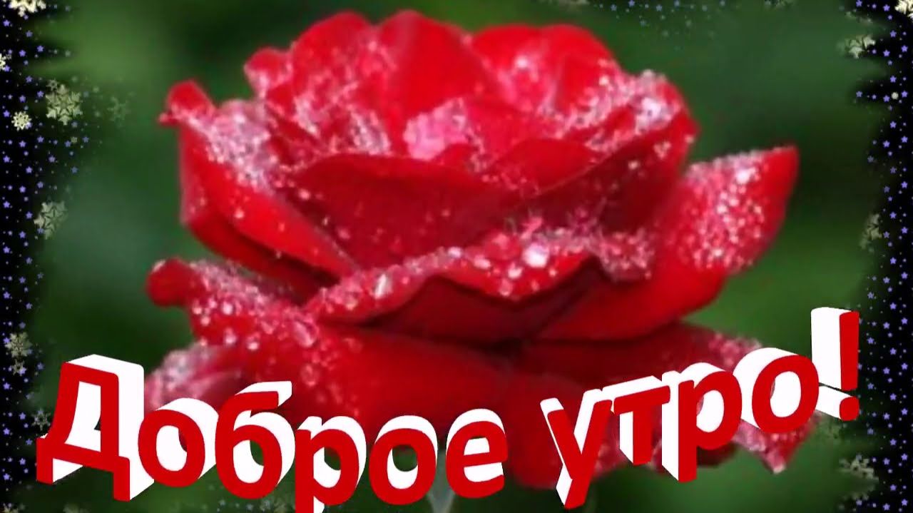 Доброе Утро! Верю надеюсь люблю! смотреть онлайн