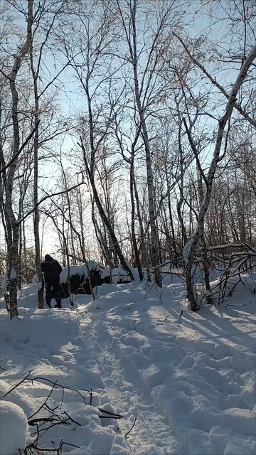 Охотничья лыжня #лыжи #лес #охота #туризм #рыбалка #зима #снег #мороз #глубокийснег #вездеход Охотничья лыжня #лыжи #лес #охота #туризм #рыбалка #зима #снег #мороз #глубокийснег #вездеход