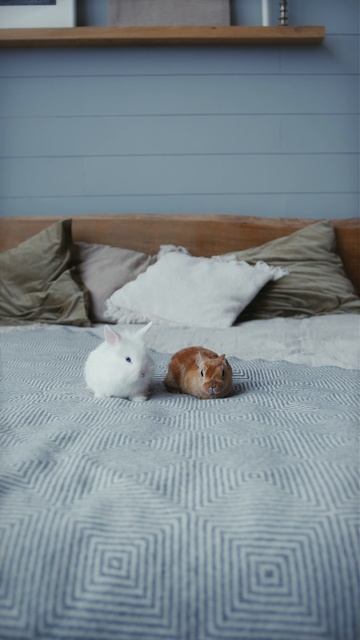 Система заработка, которая работает без меня