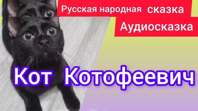 Кот Котофеевич | Народные сказки | Сказки детям 📚 | Сказка на ночь 😴 #Аудиосказки #Сказка #Детям Кот Котофеевич | Народные сказки | Сказки детям 📚 | Сказка на ночь 😴 #Аудиосказки #Сказка #Детям