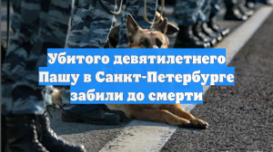 Тело убитого 9-летнего Паши нашли в водоеме в Ленобласти