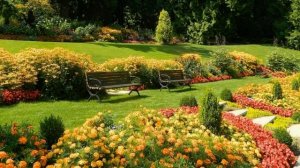 0203 Новая, никогда не звучавшая песня , о любви...История от края до края