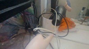 украшения терариума.