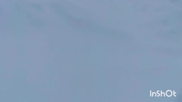 Снегом намело и ещё метёт