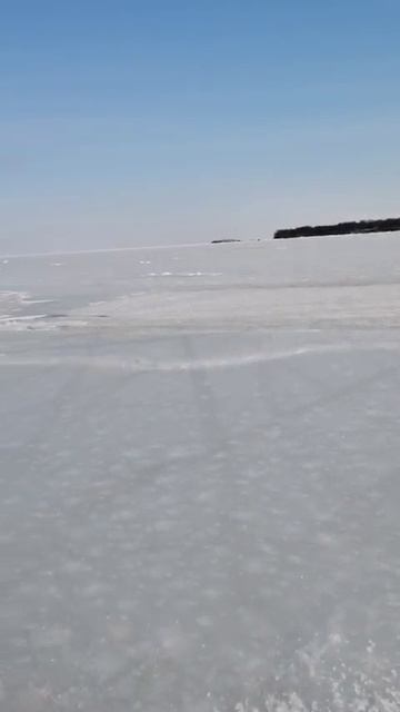 Булеры косят навагу в Хабаровске! Булеры от Mr.Musurok