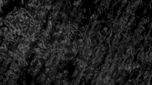 // n a a - s i l a - d i r i
. 
. 
. 
. 
. 
. 
. 
##анимация #minecraft #memes #skibiditoilet #blend