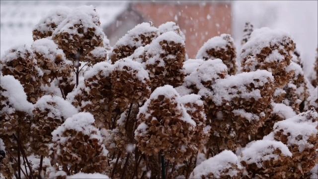 3 Февраля - Судьбоносный день. Что ждёт каждый знак_ смотреть онлайн