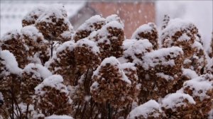 3 Февраля - Судьбоносный день. Что ждёт каждый знак_