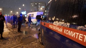 Дело возбудили после убийства девятилетнего мальчика в Петербурге