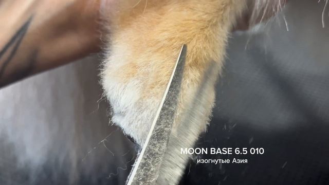 Лайфхак по стрижке изогнутыми ножницы от Елены Ривво