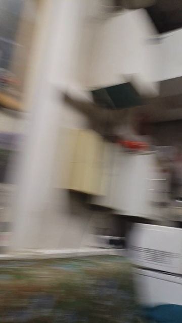 VID_20260203_163829.mp4