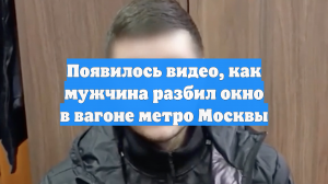 Появилось видео, как мужчина разбил окно в вагоне метро Москвы