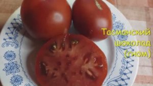 Каталог томатов на 2026 год. Часть 5. г. Киров  т. 89229284031