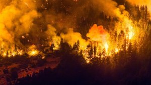 Леса и пастбища уничтожены огнем. Небывалые лесные пожары накрыли Аргентину