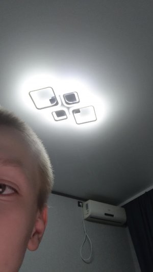 я тупая крыса да?