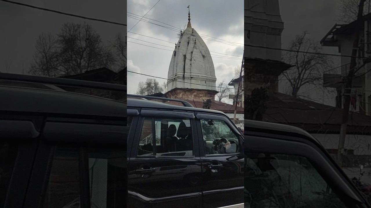 Парк в Шринагаре, древние чинары смотреть онлайн