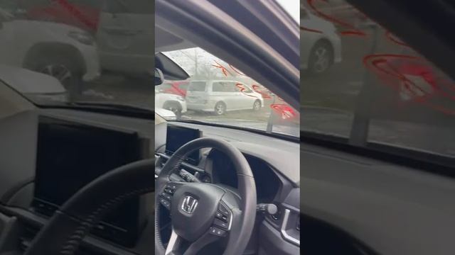 Обзор площадки  и информация о погрузках на ближайшие рейсы